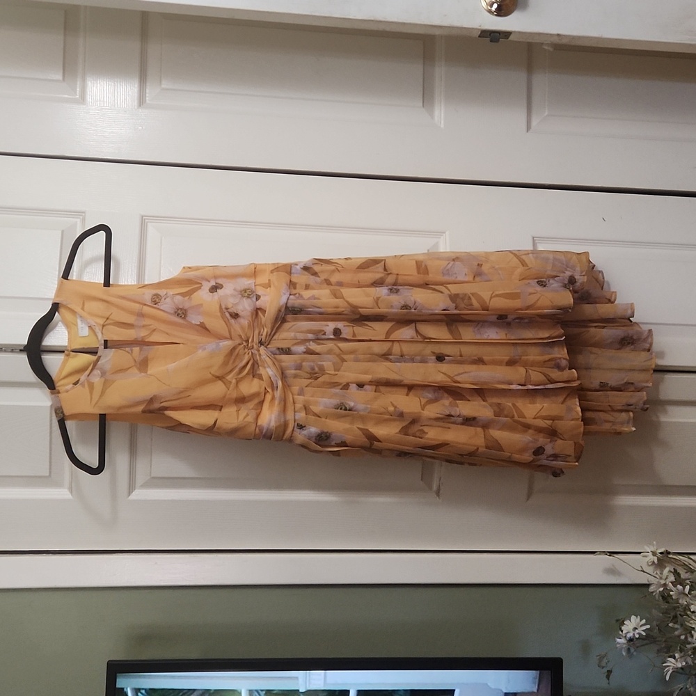 Ted Baker dress